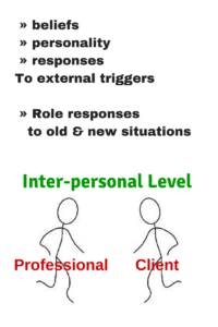 Professional Boundaries and Cultural Bias - Inter-Personal Level