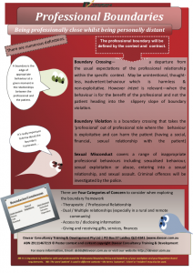 Definitions and language Professional Boundaries poster