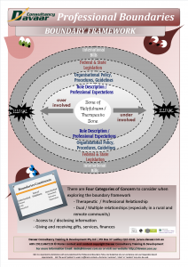 Professional Boundaries Framework